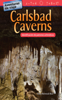 Aventuras de Viaje: Carlsbad Caverns: Identificación de Patrones Aritméticos (Travel Adventures: Carlsbad Caverns: Identifying Arithmetic Patterns)