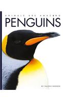Penguins