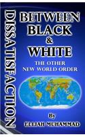 Dissatisfaction Between Black And White (The Other New World Order)