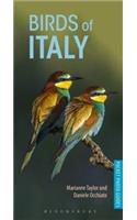 Birds of Italy