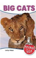 Big Cats