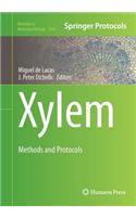 Xylem