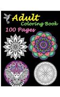 Adult Coloring Book 100 Pages