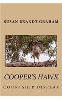 Cooper's Hawk Courtship Display