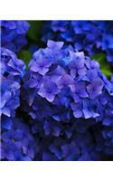 Hydrangeas: Flowering Plant Journal/Notebook/Diary(Flowers)