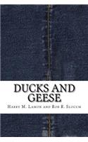 Ducks and Geese