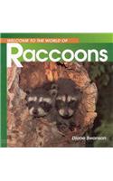 Welcome to the World of Raccoons