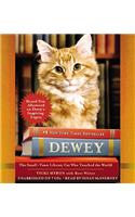 Dewey: The Small-Town Library Cat Who Touched the World
