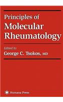 Principles of Molecular Rheumatology