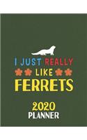 I Just Really Like Ferrets 2020 Planner: Weekly Monthly 2020 Planner For People Who Loves Ferrets 8.5x11 67 Pages