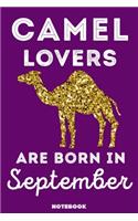 Camel Lovers Are Born In September