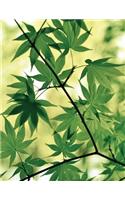 Spring Maple Sketchbook: Blank Art Sketch Pad Journal Notebook(50 Go Green 150 Sketch)