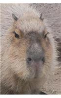 Say Hello to the Capybara Journal: 150 page lined notebook/diary