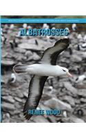 Albatrosses: Beautiful Pictures & Interesting Facts Children Book About Albatrosses