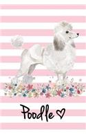 Poodle: Soft Cover Blank Lined Journal (6 X 9) - Poodle Dog Illustration, Dog Lover Notebook