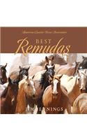 Best Remudas