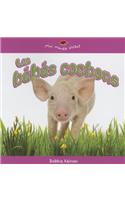 Les Bebes Cochons