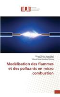 Modélisation Des Flammes Et Des Polluants En Micro Combustion