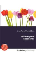 Heliotropium Shoabense: (English)