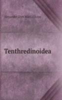 Tenthredinoidea