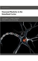 Neuronal Plasticity in the Entorhinal Cortex