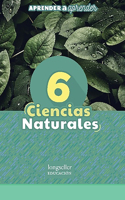 Ciencias naturales 6