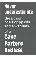Never underestimate the power of a sloppy kiss and a wet nose of a Cane Pastore Biellese: For Cane Pastore Biellese Dog Fans