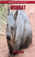 Wombat: Amazing Facts & Pictures