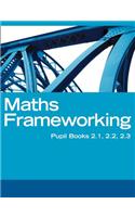 Maths Frameworking - Interactive Book, Homework and Assessment 2