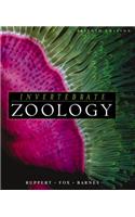 Invertebrate Zoology