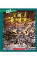 Animal Migrations