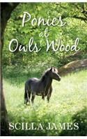 Ponies at Owls' Wood