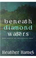 Beneath Diamond Waters