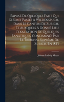 Exposé De Quelques Faits Qui Se Sont Passés À Wildenspuch, Dans Le Canton De Zurich, Et Auxquels A Donné Lieu L'exaltation De Quelques Fanatiques, Condamnés Par Le Tribunal Suprême De Zurich, En 1823