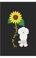 You are my Sunshine