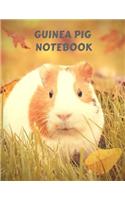 Guinea Pig Notebook