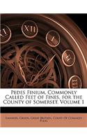 Pedes Finium, Commonly Called Feet of Fines, for the County of Somerset, Volume 1