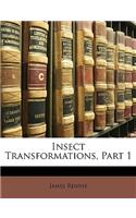 Insect Transformations, Part 1