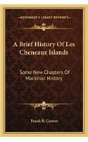 A Brief History Of Les Cheneaux Islands