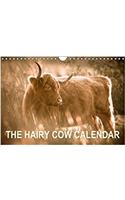 Hairy Cow Calendar 2018