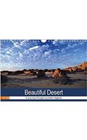 Beautiful Desert 2018