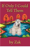 If Only I Could Tell Them: (English)