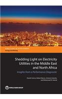 Shedding Light on Electricity Utilities in the Middle East and North Africa