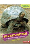 Galápagos Tortoises: Long-Lived Giant Reptiles