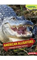 American Alligators