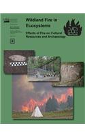 Wildand Fire in Ecosystems