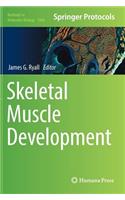 Skeletal Muscle Development