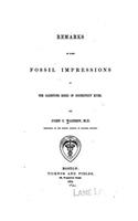 Remarks on Some Fossil Impressions in the Sandstone Rocks of Connecticut River