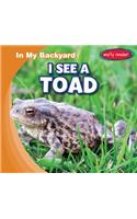 I See a Toad