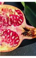 Pomegranate Fruit Journal: 150 Page Lined Notebook/Diary